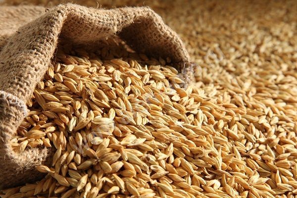 Аграріями Вінниччини продовжується збирання сільськогосподарських культур урожаю 2025 року