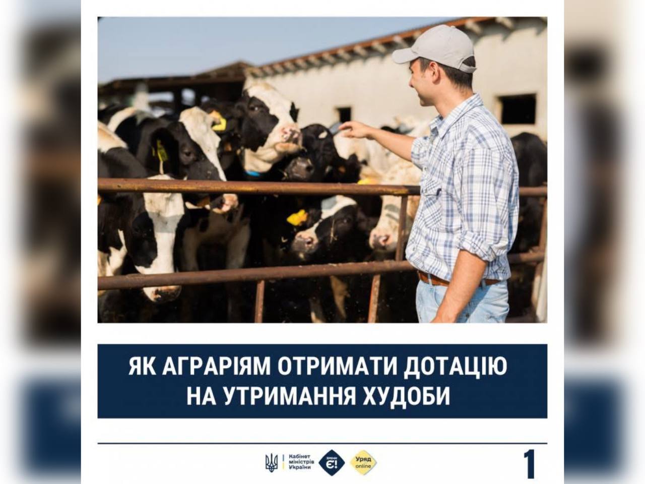 Аграрії можуть отримати державні дотації на утримання худоби