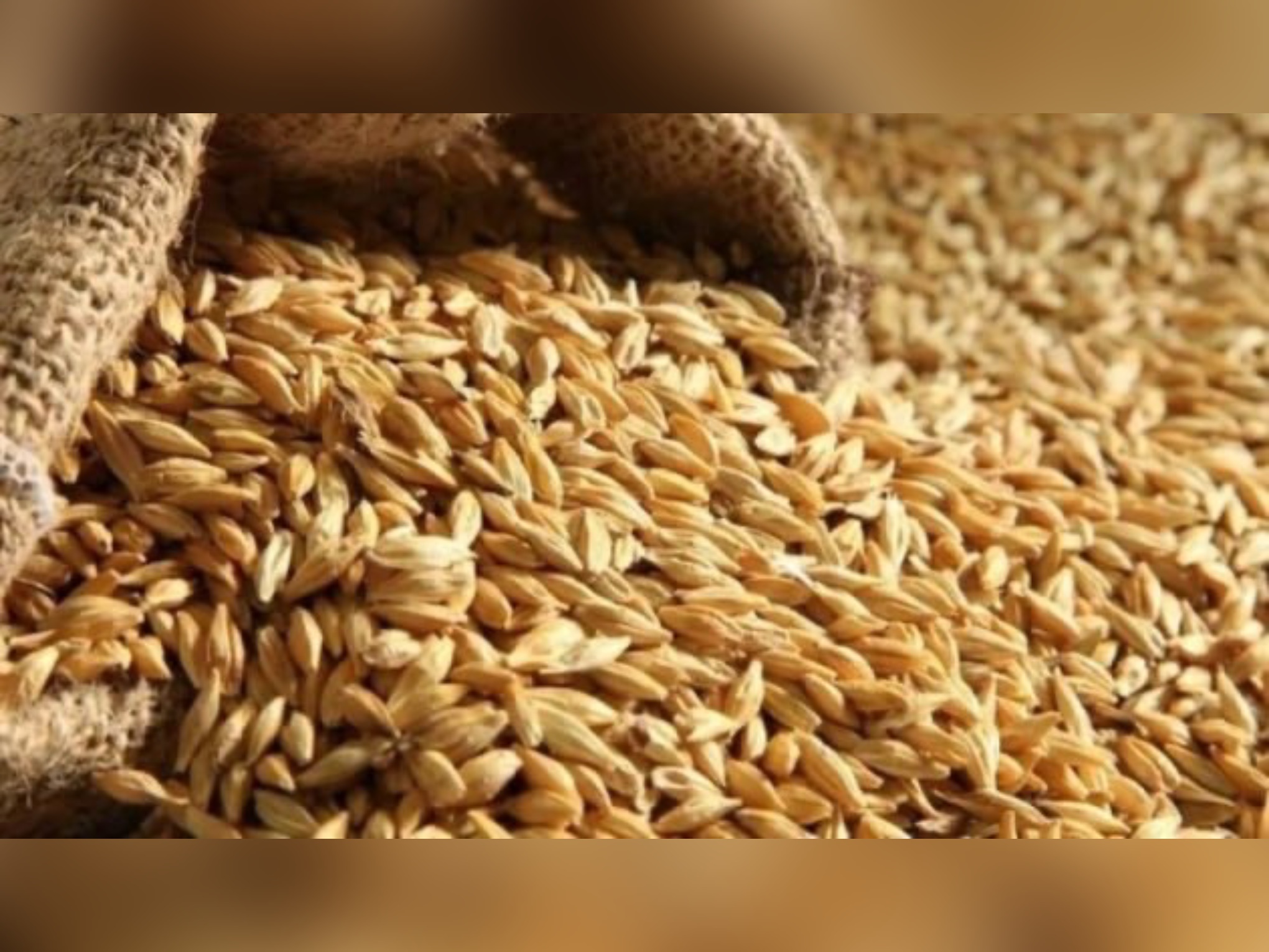 На Вінниччині намолочено 3,8 млн. тонн зерна