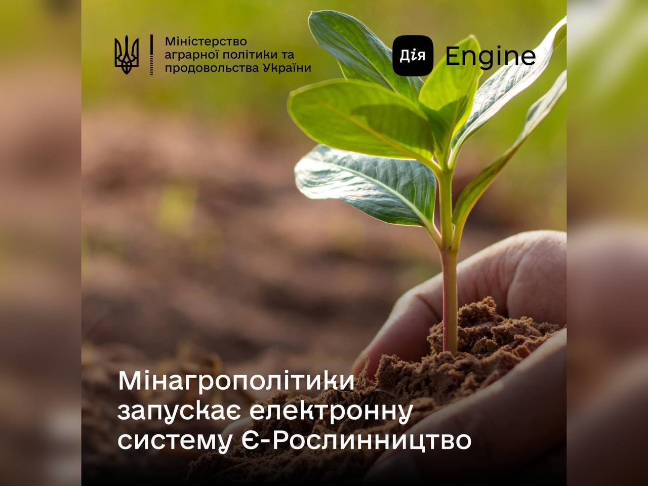 Міністерство аграрної політики та продовольства України запускає електронну систему Є-Рослинництво