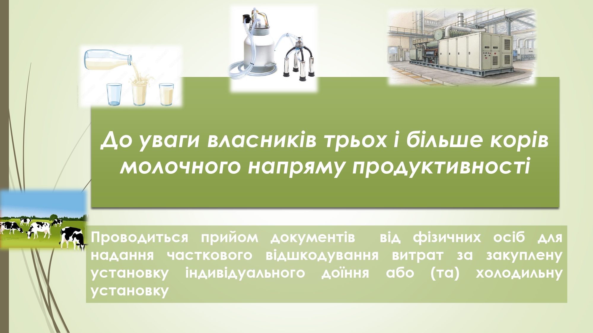 Банер 