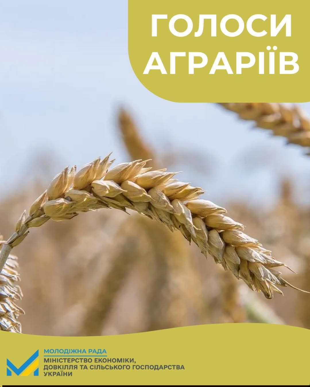 Банер з текстом та інфографікою