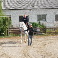 Захисник під час прогулянки верхи