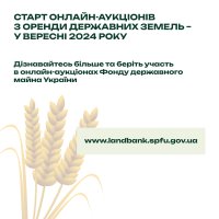 Інфографіка