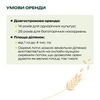 Інфографіка