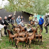 учасники заходу під час екскурсії на козиній еко-фермі «Альпійка»